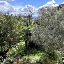 View over the garden from the first floor