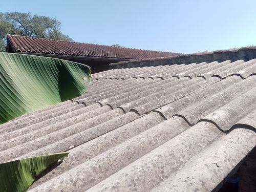 The outbuilding roof