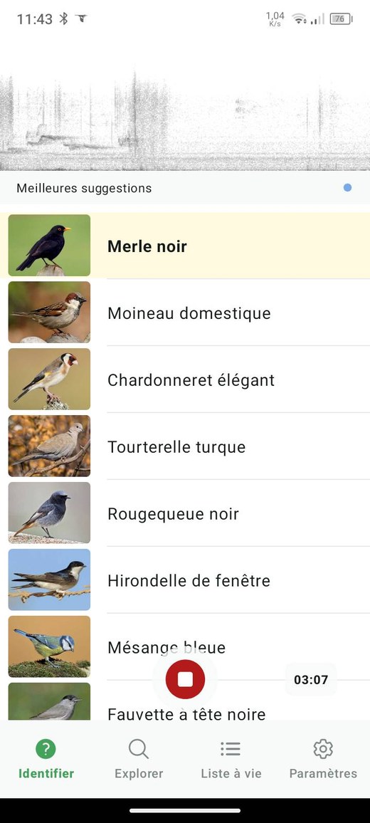 Capture d’écran d’une identification du chant des oiseaux entendus depuis le jardin