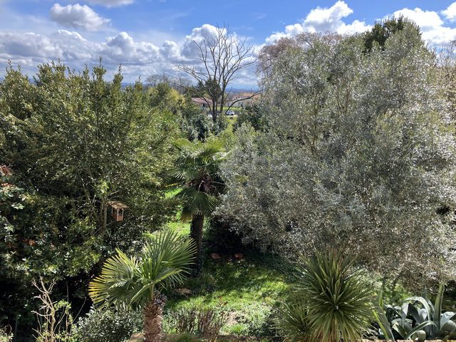 Vue dégagée sur le jardin arboré et la campagne depuis l’étage de la maison